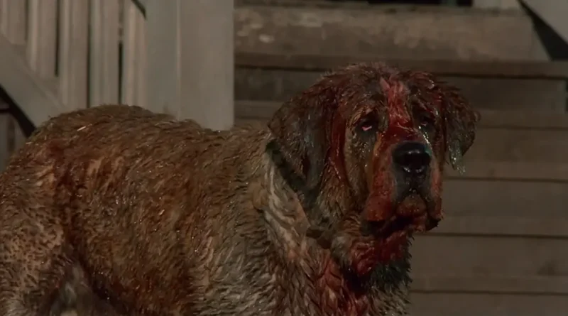 cujo-netflix